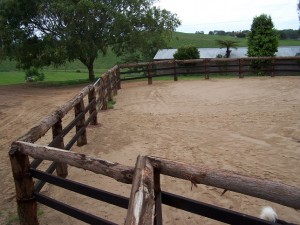 Fencing Gympie - Timber Split Stock Yard